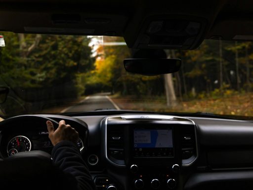 a person driving a car