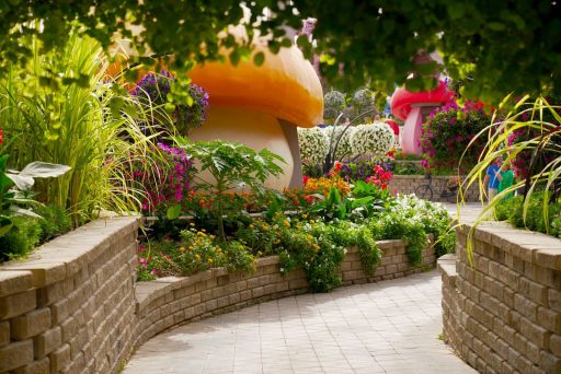 a garden filled with lots of flowers and plants