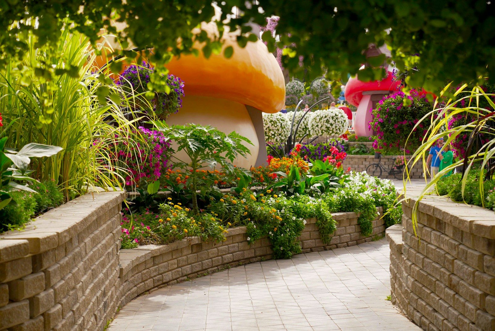 a garden filled with lots of flowers and plants