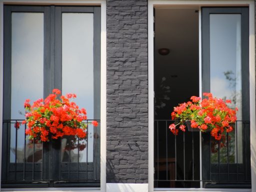 Charming Amsterdam windows adorned with vibrant red geranium flowers, perfect for adding Dutch flair to your space.
